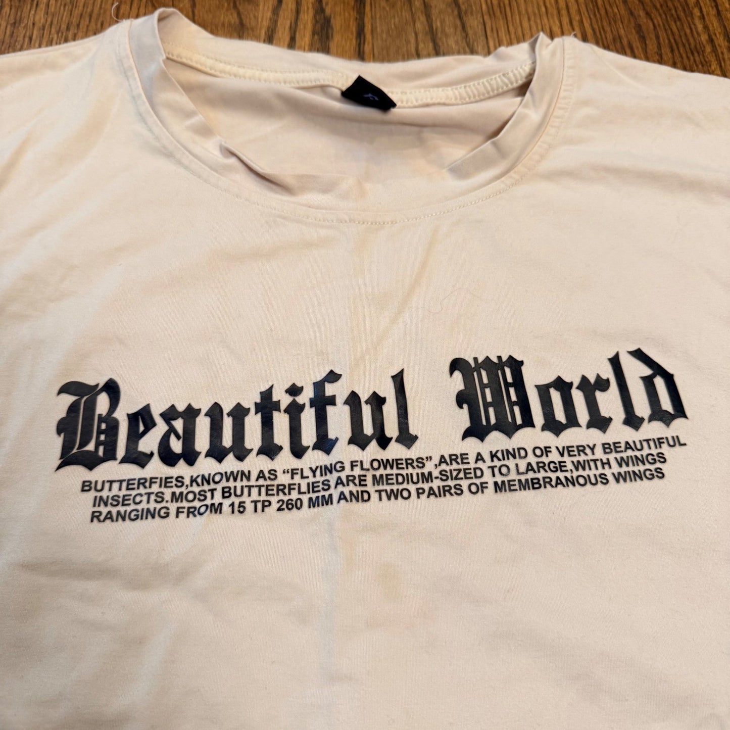 Romwe Beautiful World Butterfly Graphic T-Shirt XL Cream Gothic Streetwear