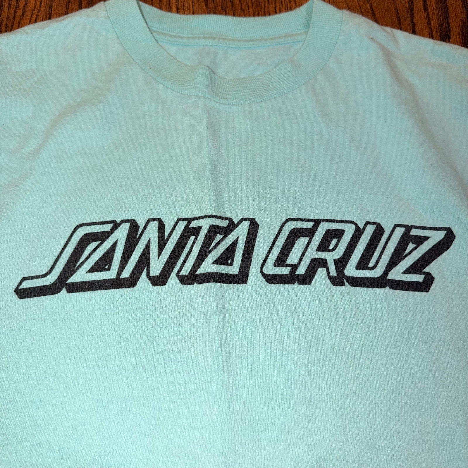 Santa Cruz Skateboards Classic Logo T-Shirt Mint Green Small
