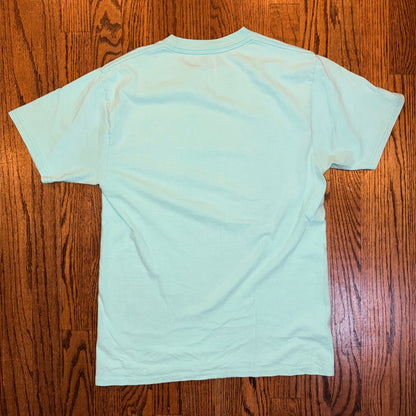 Santa Cruz Skateboards Classic Logo T-Shirt Mint Green Small