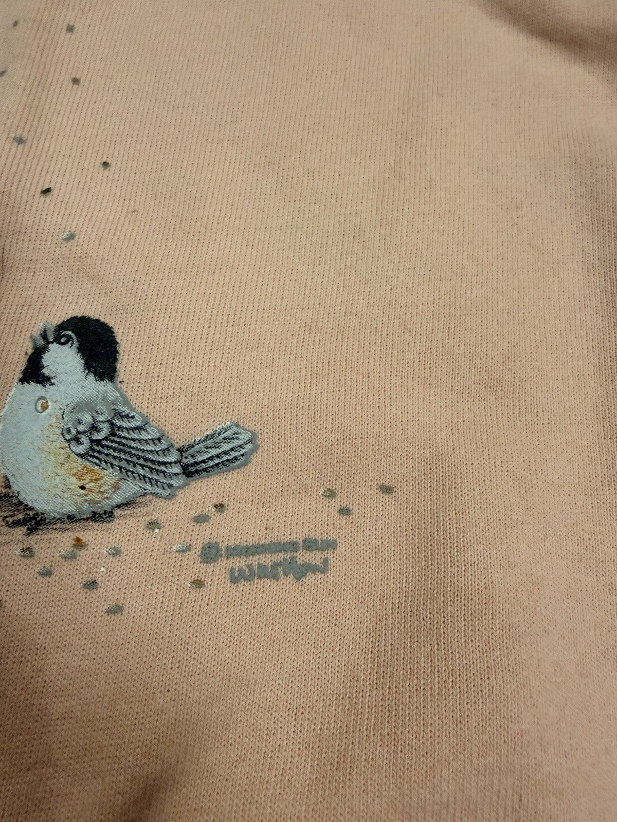Vintage Morning Sun Grandma Spring Bird Crewneck Sweatshirt Pastel Pink L
