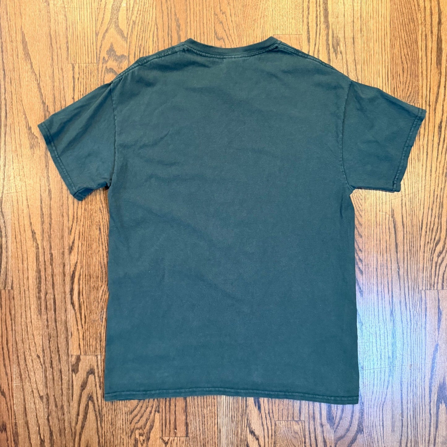 Comfort Colors Stanton Academy Phoenix Graphic T-Shirt Medium Green