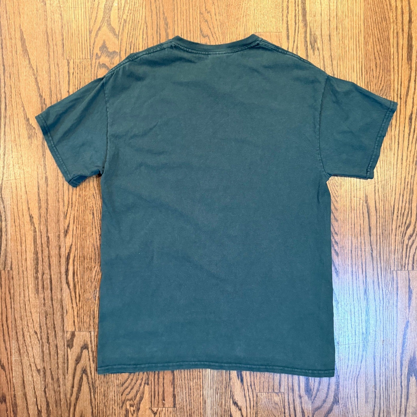 Comfort Colors Stanton Academy Phoenix Graphic T-Shirt Medium Green
