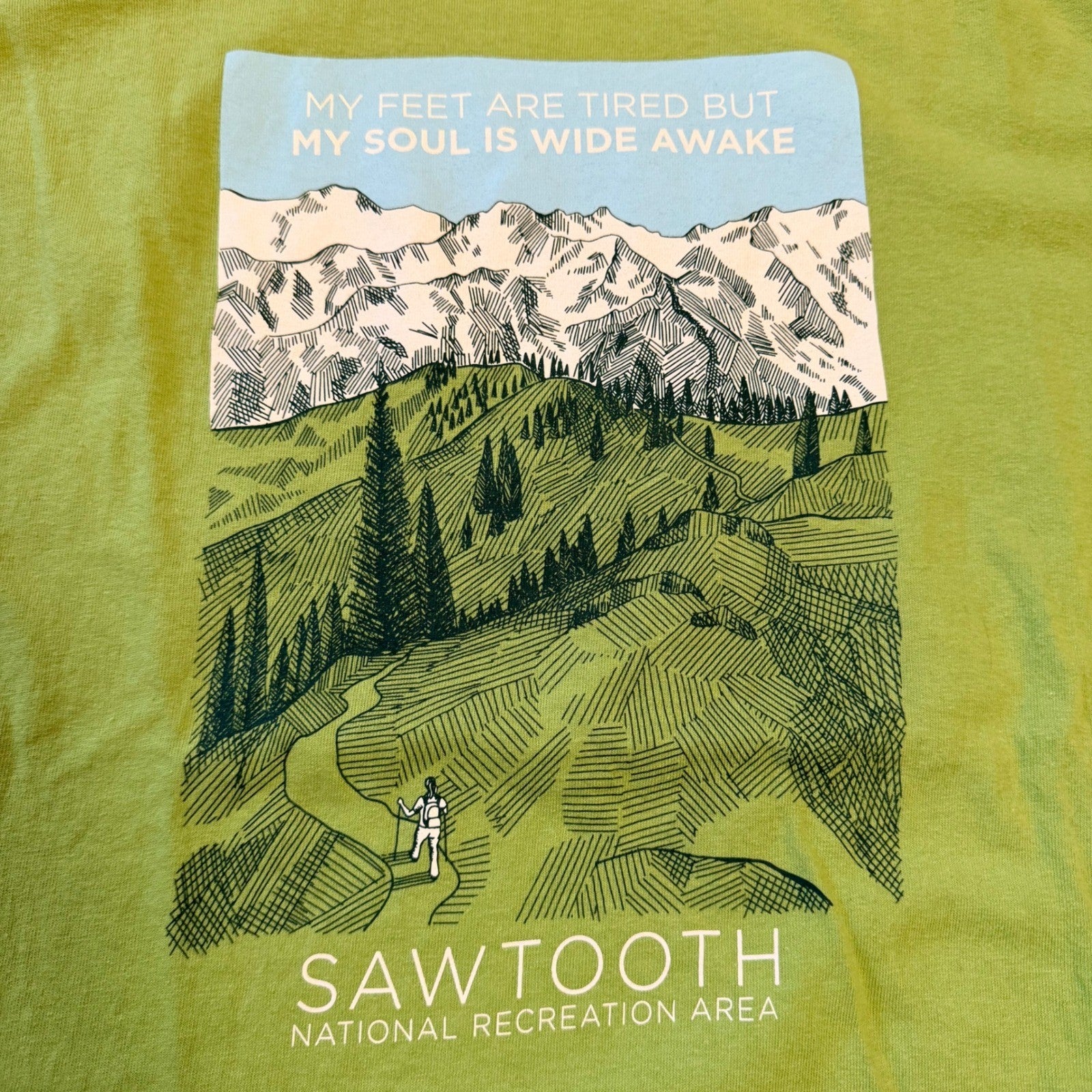 Gildan Sawtooth National Recreation Area Graphic T-Shirt Hiking Size M Green