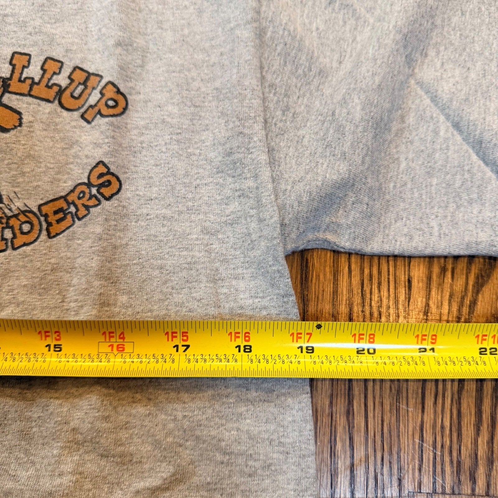 Puyallup Pioneers Pathfinders Graphic T-Shirt Gray Cabin Mountain Small/Medium