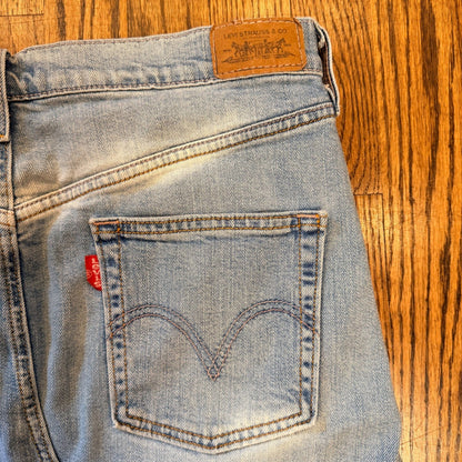 Levi's Vintage Denim Maxi Skirt Embellished Light Wash Blue Pink Stitching 32