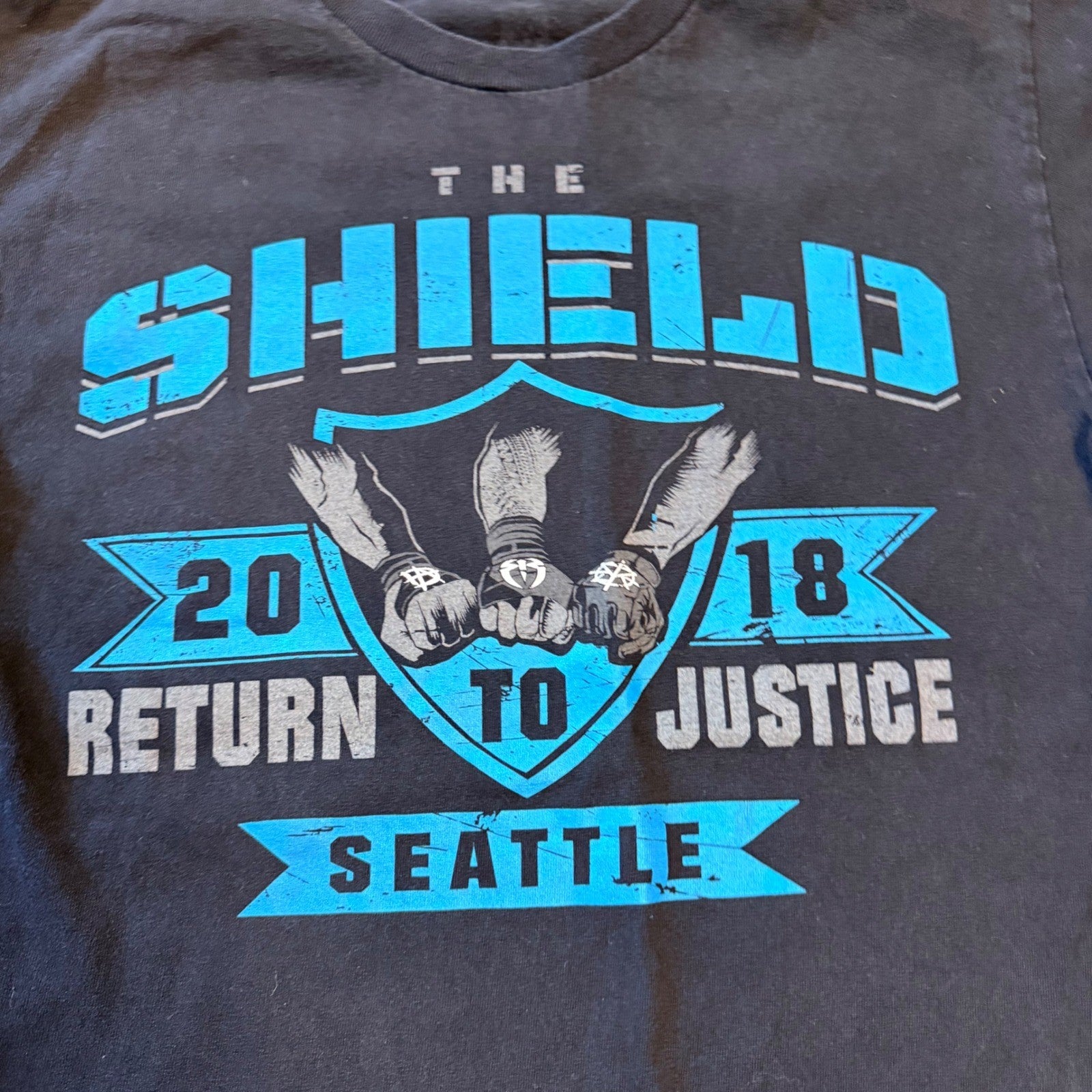 WWE The Shield Return to Justice Seattle 2018 Graphic T-Shirt Youth Black