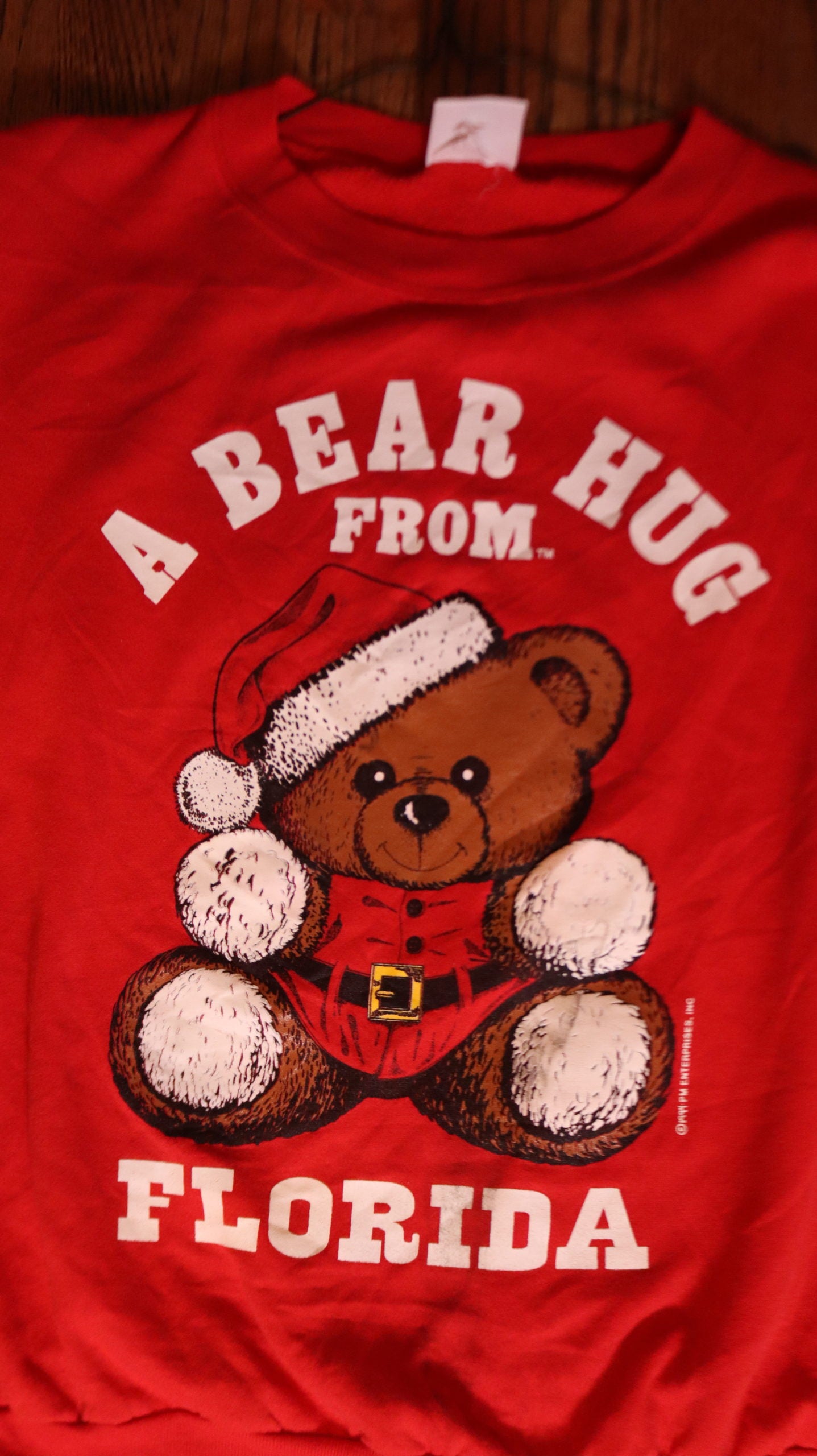Bear Hug from Florida - XL